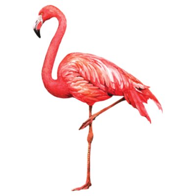 Flamingo: Men's Designer Tank Top Design
