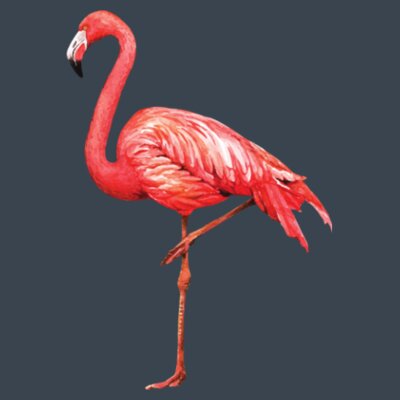 Flamingo: Men's Designer Hoodie Design