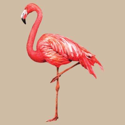 Flamingo: Women's Designer Hoodie Design